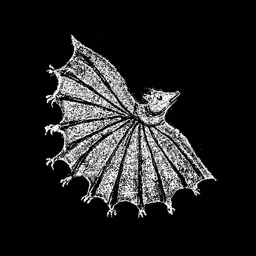 Xiu Xiu agenda su nuevo disco 